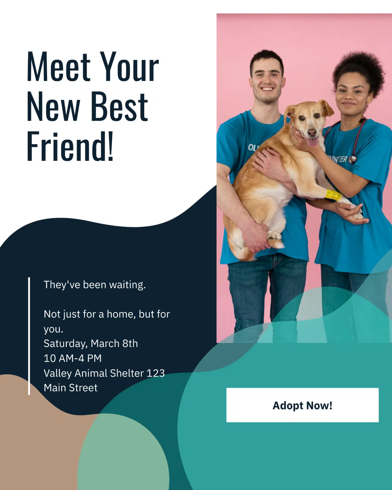 downloaded poster of a pet adoption event to be ashown on instagram