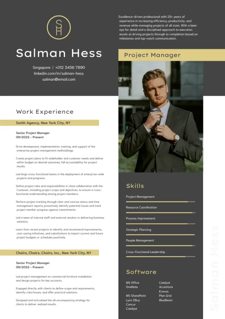 sales resume template with objective