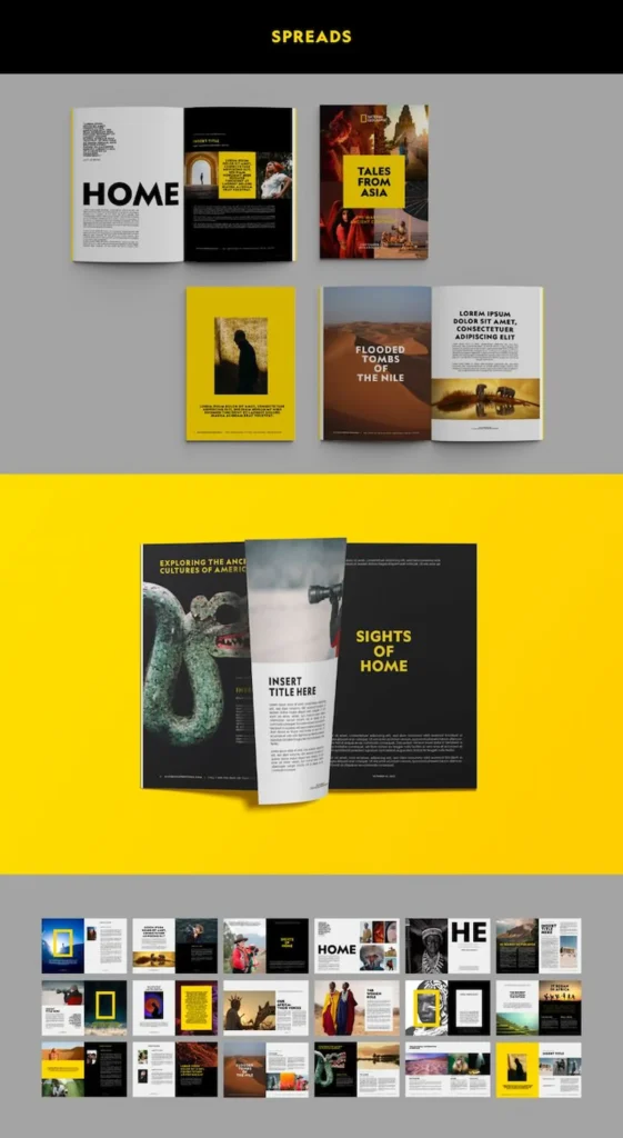 preview of national geographic conceptual unity graphic